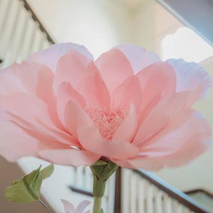 Giant Crepe Paper Flower Template, Event Decor, DIY Party Flowers (PDF) image 17