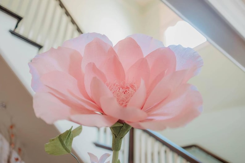 Giant Crepe Paper Flower Template, Event Decor, DIY Party Flowers (PDF) image 17