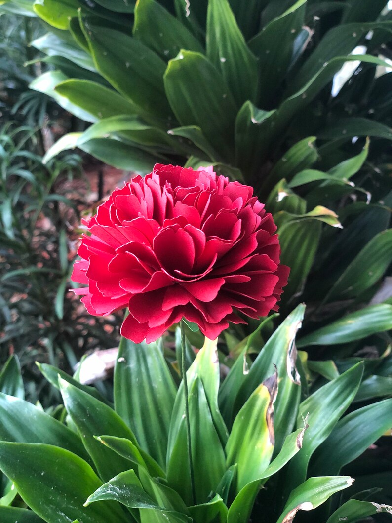 Carnation Paper Carnation Small Paper Flower Paper Flower Etsy