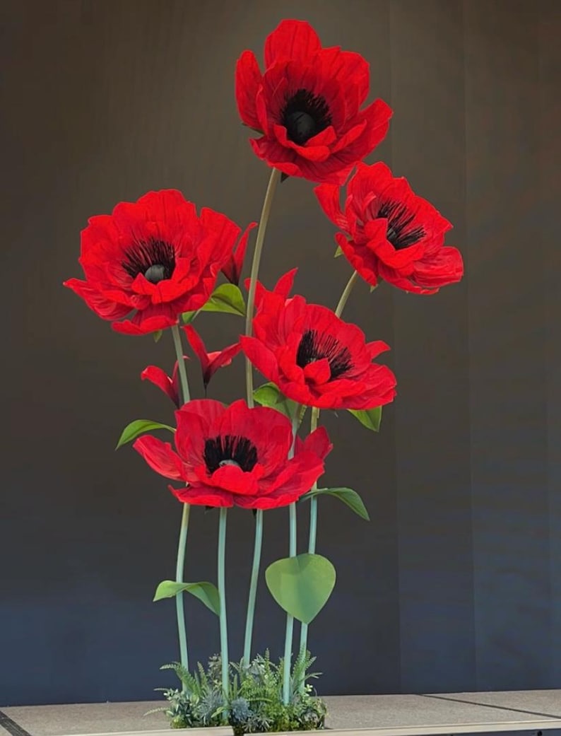 May include: A decorative arrangement of five large, vibrant red poppy flowers with prominent black centers. Each flower is supported by a slender, light green stem. Small green leaves are attached to the stems, and the base features foliage.