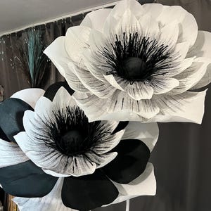 May include: Two large decorative flowers with layered petals. The top flower is white with a black center. The bottom flower features black and white petals with a black center. Both flowers have thin, dark, hair-like filaments in the center.