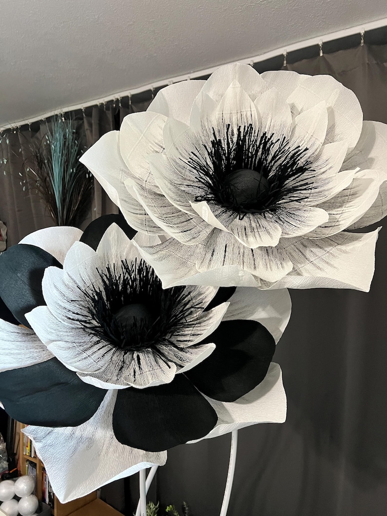 May include: Two large decorative flowers with layered petals. The top flower is white with a black center. The bottom flower features black and white petals with a black center. Both flowers have thin, dark, hair-like filaments in the center.