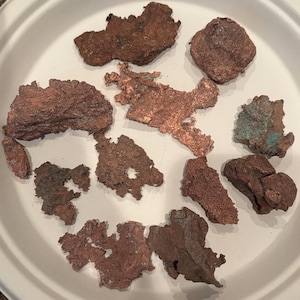 May include: A collection of ten irregularly shaped pieces of copper metal, some with a greenish patina, on a white paper plate.