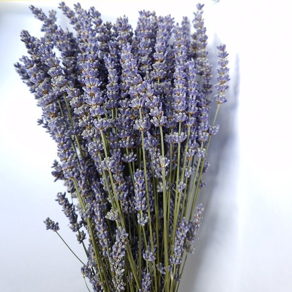 Bouquet lavande séchée - Direct producteur Provence France - Variété lavandin extra-bleu 220 brins poids 180G