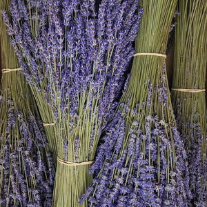Getrockneter Lavendelstrauß – Direkt vom Produzenten aus der Provence, Frankreich – Extrablaue Lavendelsorte, 220 Zweige, Gewicht 180 g