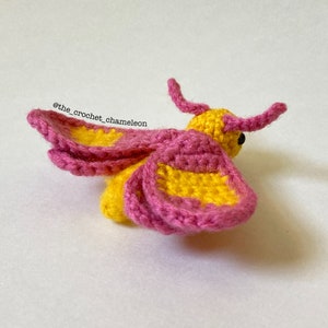 Patron : peluche au crochet anti-mites d'érable rose image 3