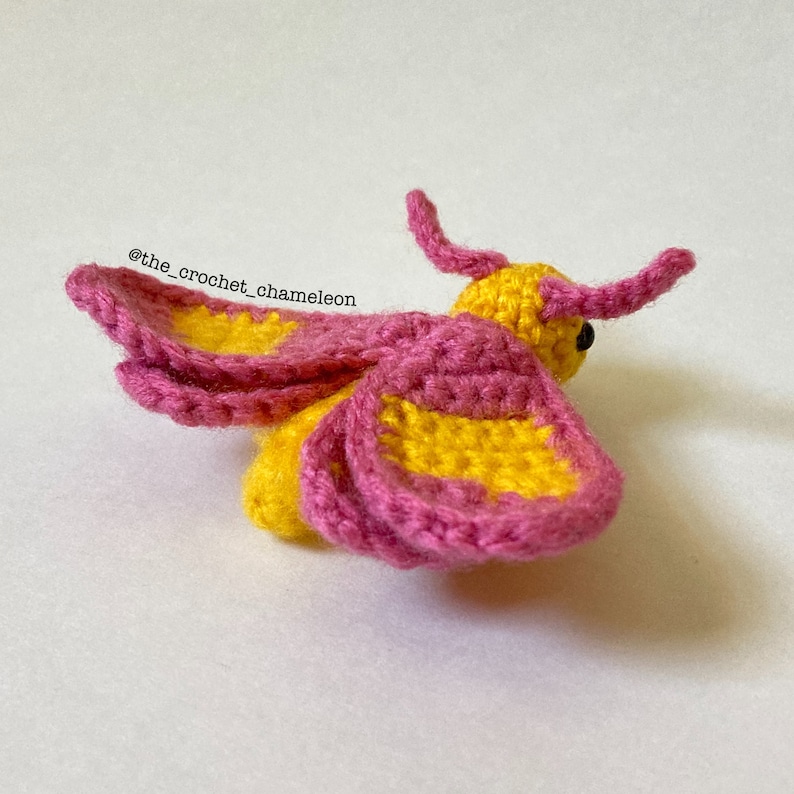 Pattern: Rosy Maple Moth Crochet Plushie image 3