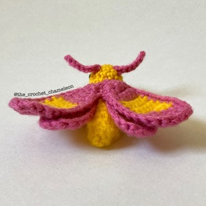 May include: A crocheted moth with pink and yellow wings. The moth is made with yarn and has a textured surface.