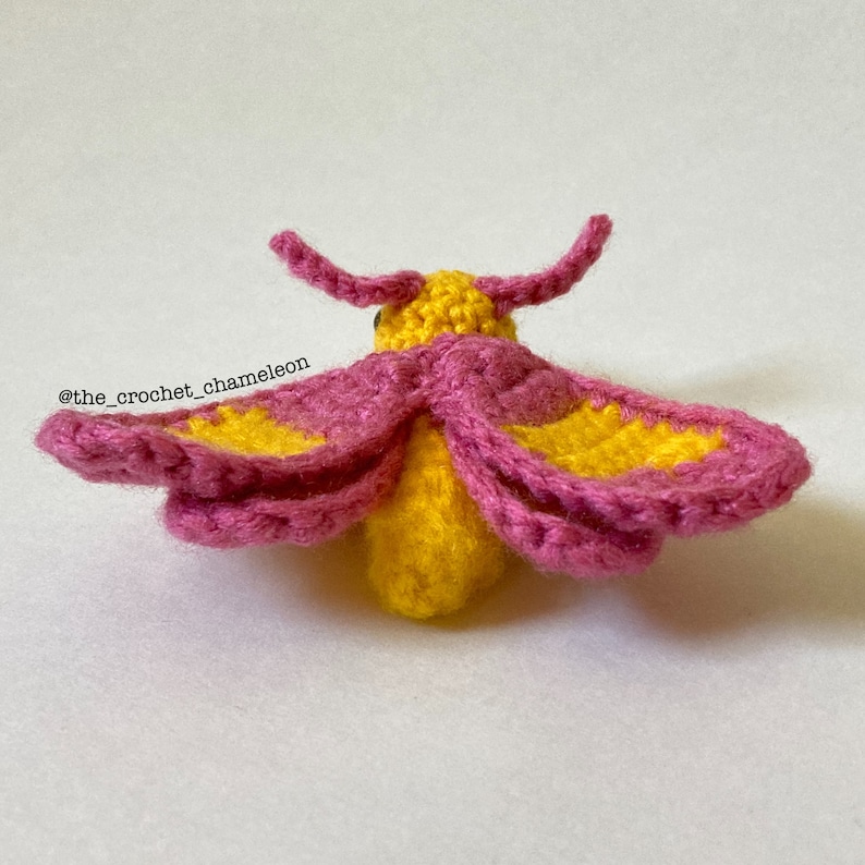May include: A crocheted moth with pink and yellow wings. The moth is made with yarn and has a textured surface.