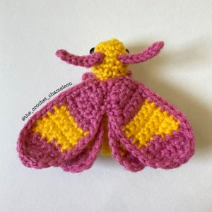 May include: A crocheted moth with pink and yellow wings. The moth has black eyes and a yellow body.