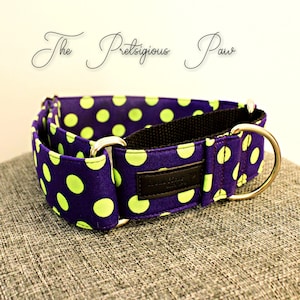 May include: Purple dog collar with lime green polka dots and silver hardware. The collar is made of fabric and has a black strap. The text "The Pretentious Paw" is written above the collar.
