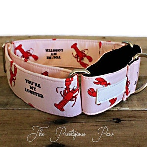 Lobster Friends Love Martingale Dog Collar: Greyhound Saluki Poodle Collar