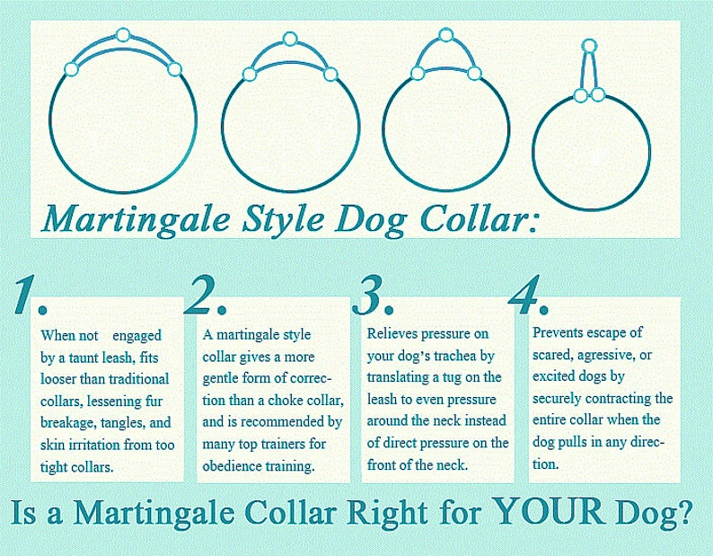 Grey Navajo Martingale Dog Collar With Metal Buckle Pet Supplies Pet Collars Jewelry Vadel Com