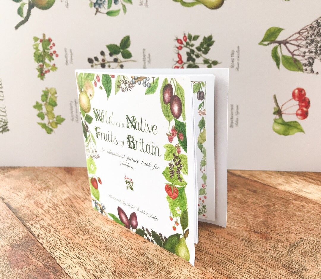 Wild and Native Fruits of Britain Card Booklet Etsy
