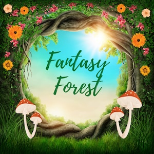 Fantasy Forest, Gem Mining, DIY, At Home Dig Kit, Rocks, Minerals, Crystals, Quartz, Stones, Points, Metaphysical Crystals, Gemstone
