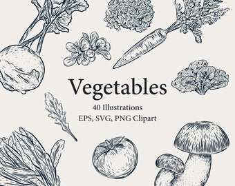 May include: A set of 40 black and white illustrations of various vegetables, including a kohlrabi, a carrot, a tomato, a mushroom, and a variety of leafy greens. The illustrations are in a vintage style and are perfect for use in a variety of projects.