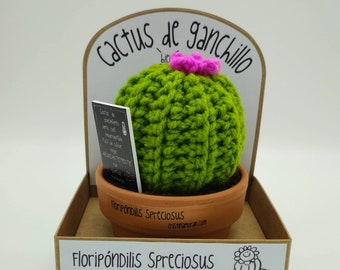 Crochet cactus