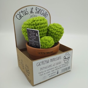 Crochet cactus image 1