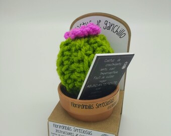 Small crochet cactus