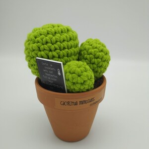 Crochet cactus image 3