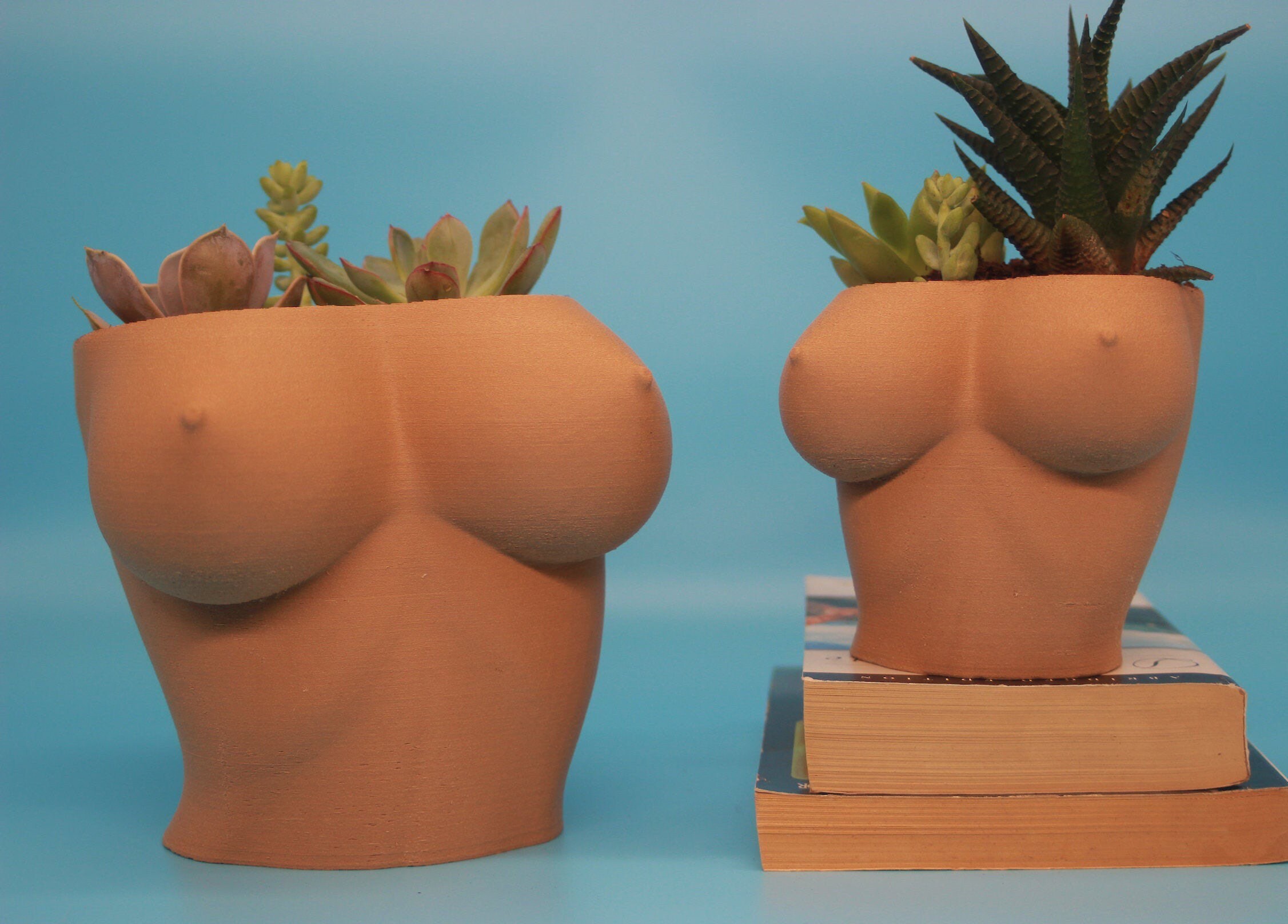 Boob Planter | 3D Printed Female Torso Planter | Succulent Pot