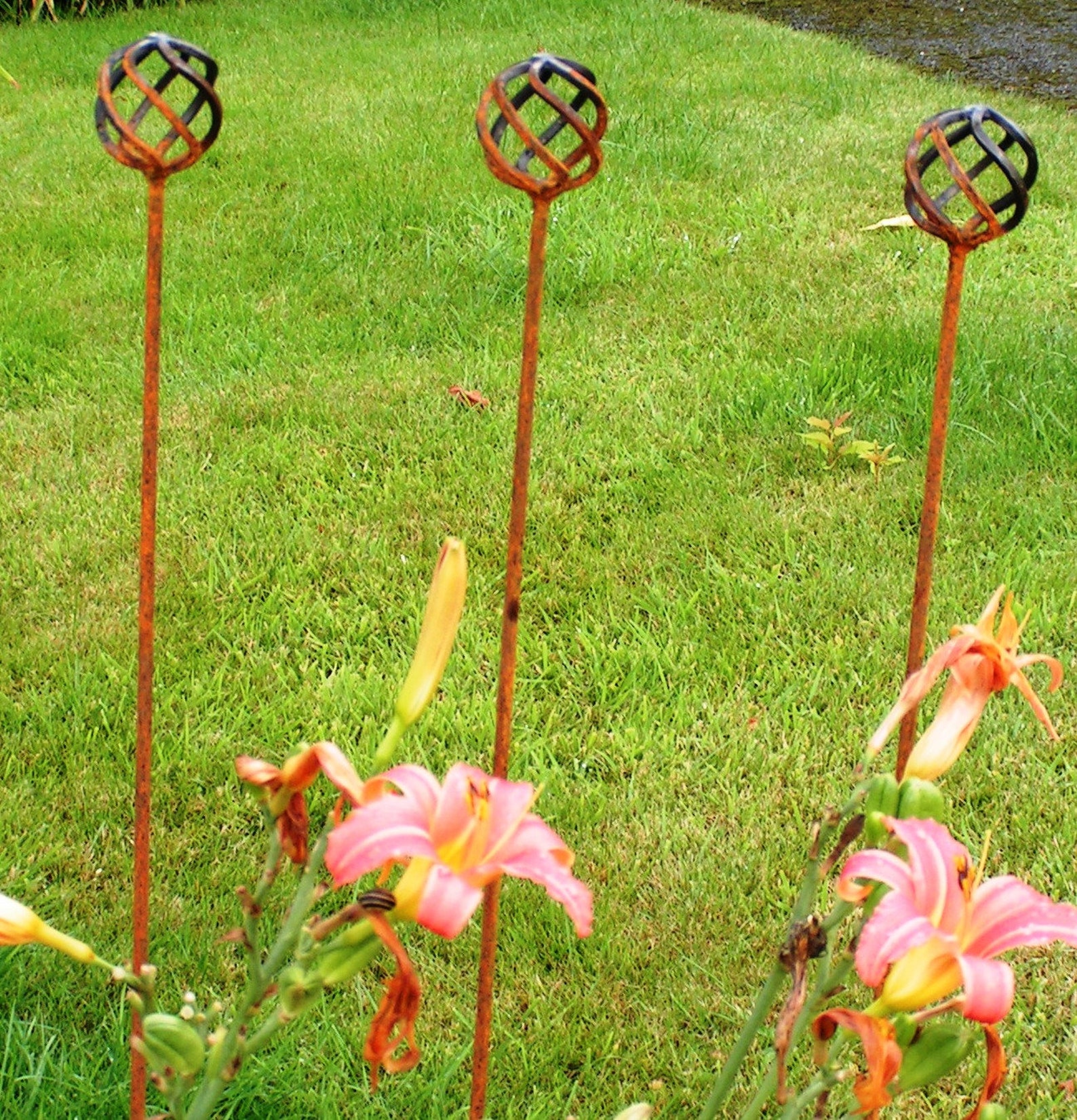 A Set Of 3 Natural Rusting 3 Metal Plant Supports Spiral Etsy