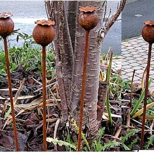 A Set of 5 Rusty Poppy Seed Head Pattern Plant Supports