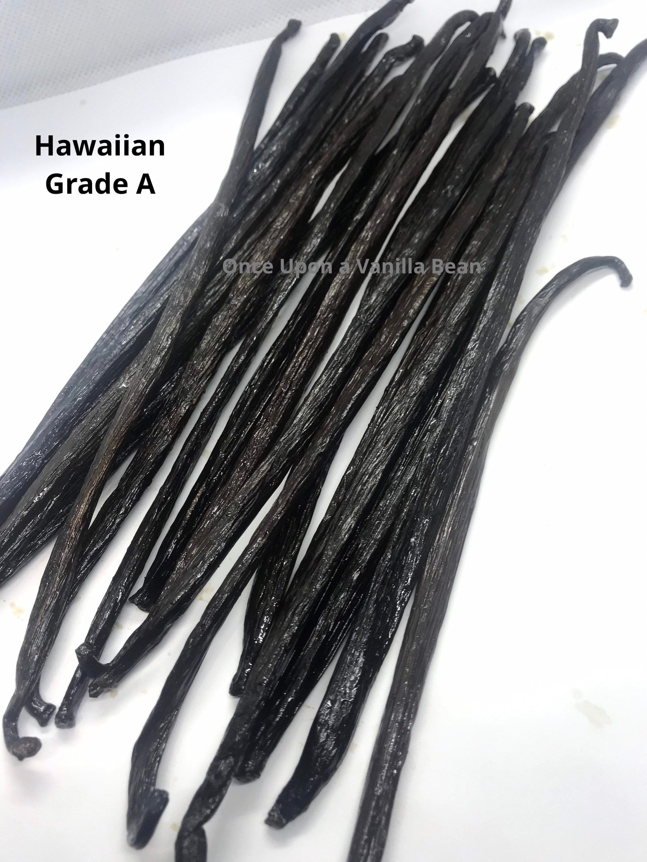 Hawaiian vanilla beans