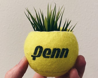 Tennis Ball Planter / Tennis / Indoor Planter / Sports Planter / Tennis ball with Stand / Hypebeast decor / Sneakerhead decor