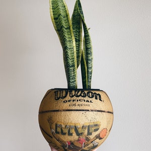 Michael Jordan Planter/ Basketball with Stand / Basketball Planter / Hypebeast Decor / Michael Jordan Basketball / Indoor Planter