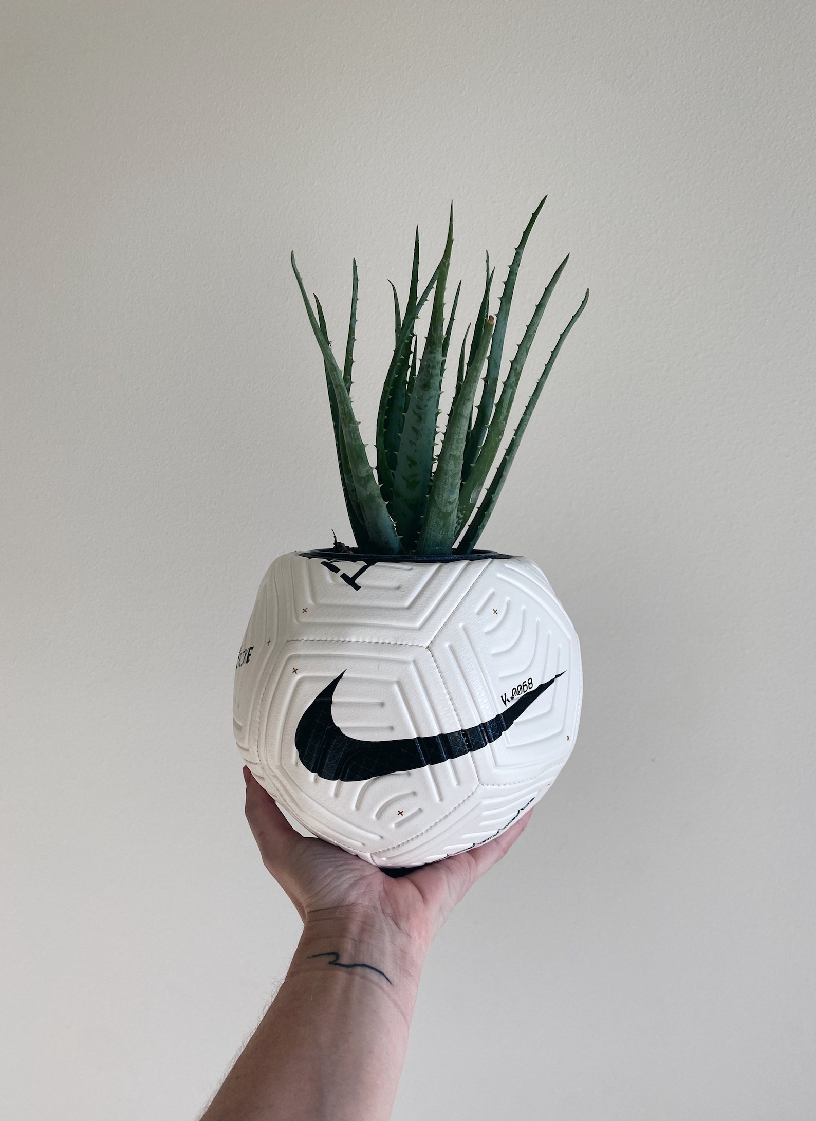 Decorative Balls For Centerpiece Bowls Football Planter/ Great For