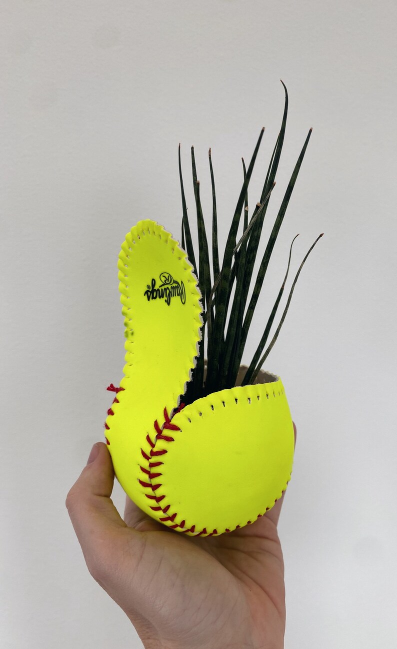 Softball Planter / Softball Decor / Indoor Planter / Baseball Etsy
