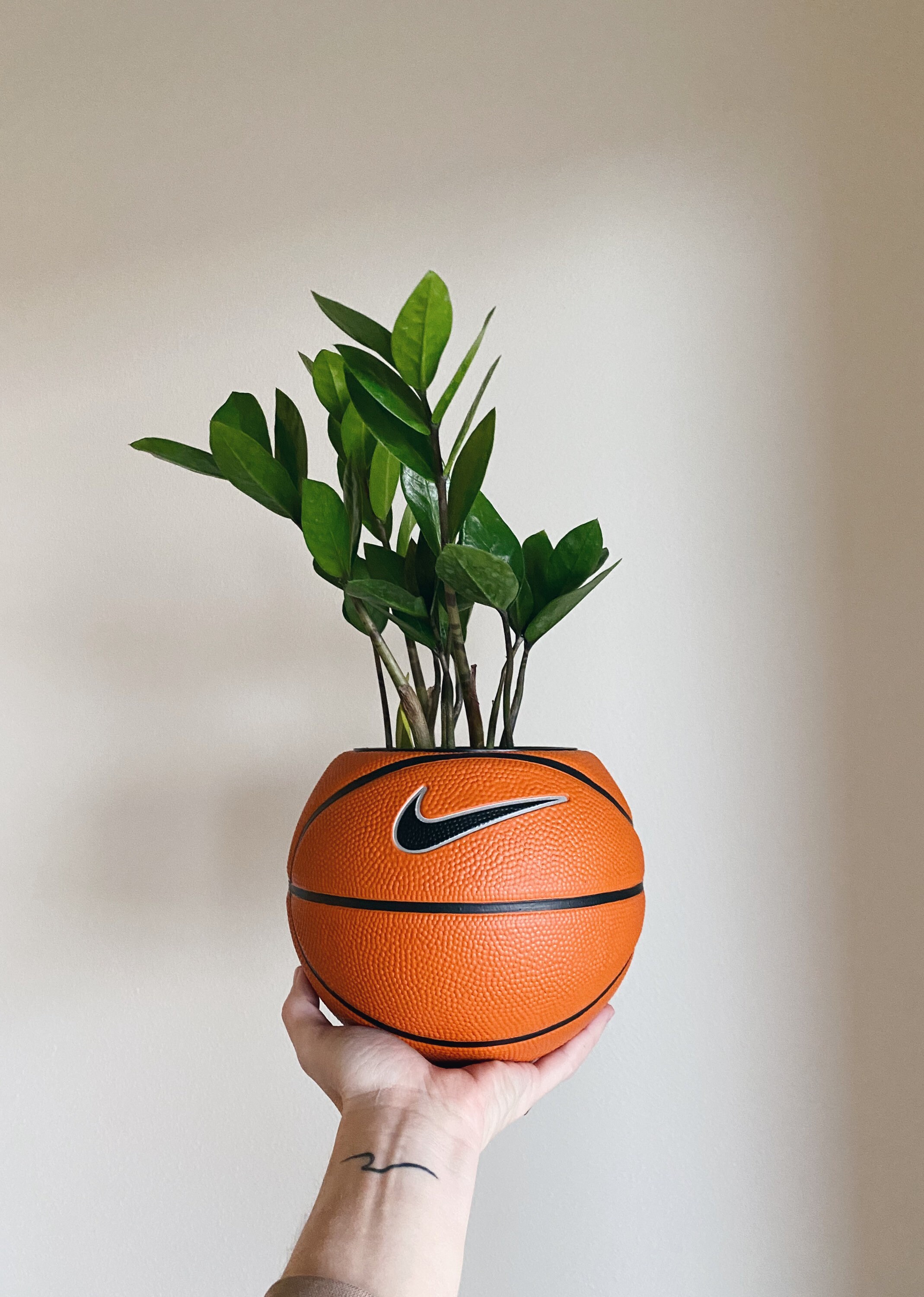 Nike Basketball Planter / Mini Size Basketball / Sports Plant Etsy