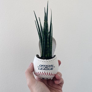 May include: A small potted plant in a baseball-themed planter. The white ceramic planter is shaped like a baseball, with red stitching details and the words "OFFICIAL LEAGUE" printed on it. The plant has long, green, upright leaves.
