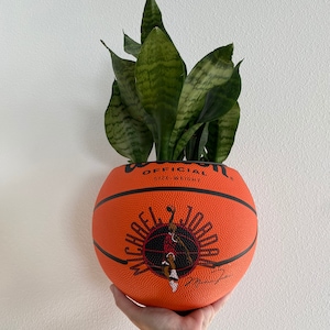 Michael Jordan Basketball / Vintage Michael Jordan / Basketball Planter / Basketball with Stand / Custom Planter / Sports Planter/Basketball