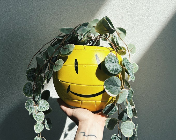 Volleyball Planter / Volleyball Decor / Upcycled Volleyball / Etsy