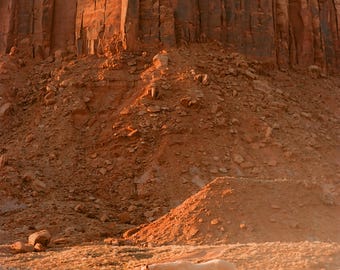 Wild Horse Film Photography Print