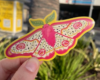 Dragonfruit Moth | 3'' Vinyl Stickers | Cute Fruit Bugs |