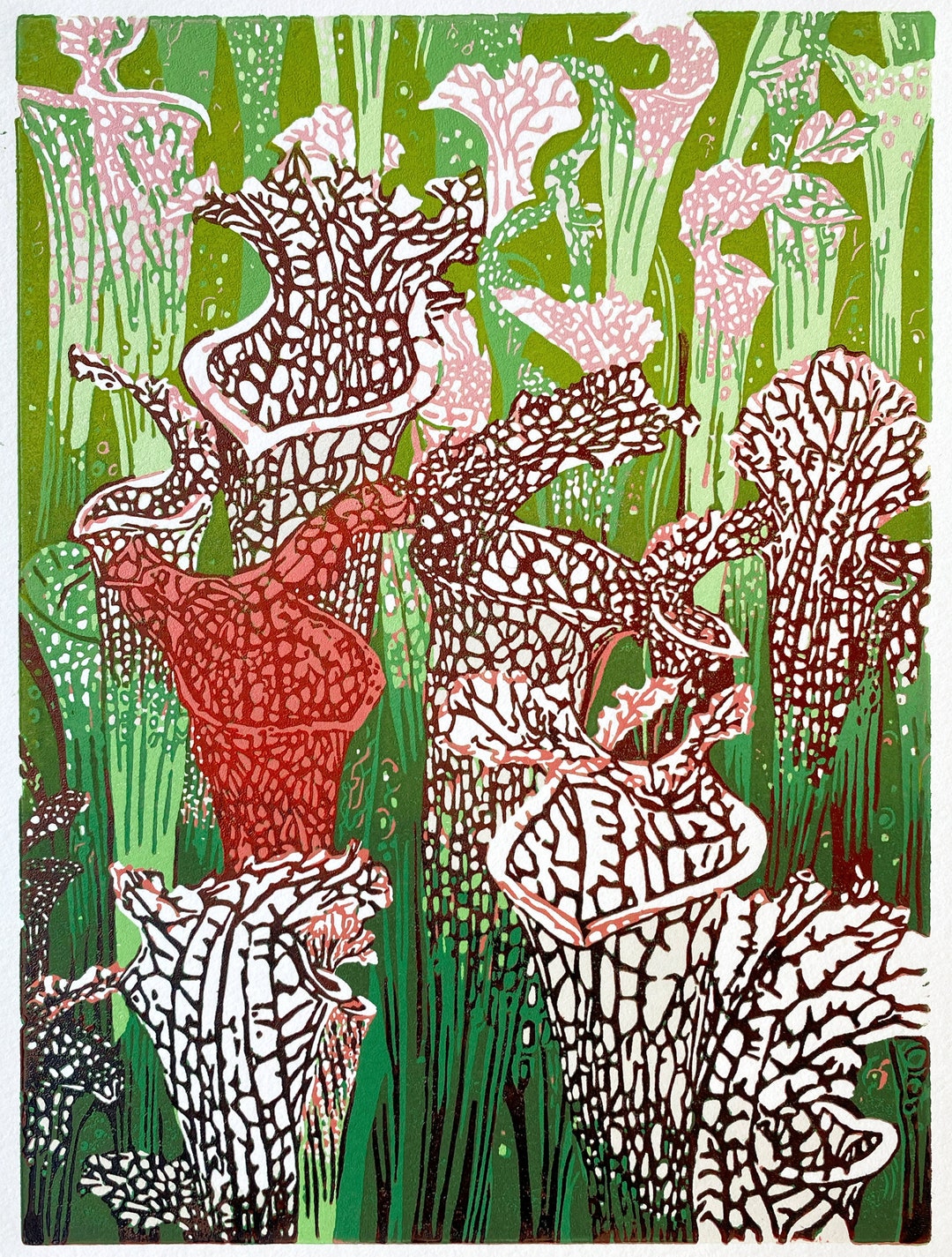 Sarracenia Pitcher Carnivorous Plant Reduction Linocut Art Print - Etsy