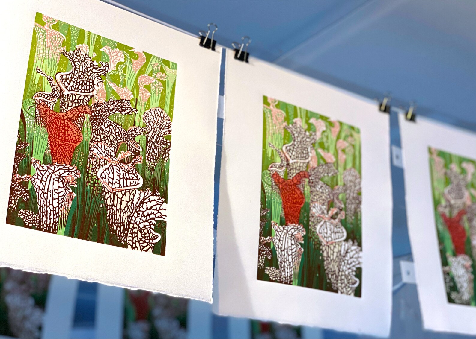 Sarracenia Pitcher Carnivorous Plant Reduction Linocut Art Print - Etsy