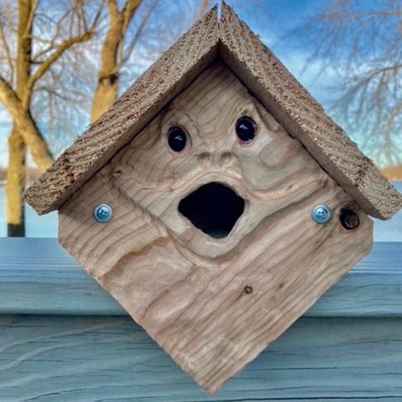 Spirit Frog Birdhouse Froggo\u201d