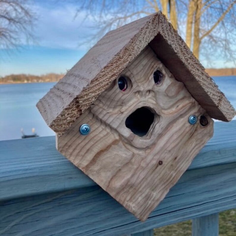 Spirit Frog Birdhouse Froggo\u201d