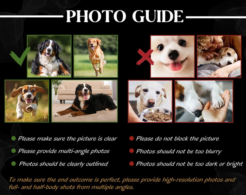 May include: A guide with images showing examples of good and bad photos for pet portraits. The guide includes tips for taking clear, multi-angle photos of pets, and avoiding blurry or dark images. The text emphasizes the importance of high-resolution photos for a successful outcome.