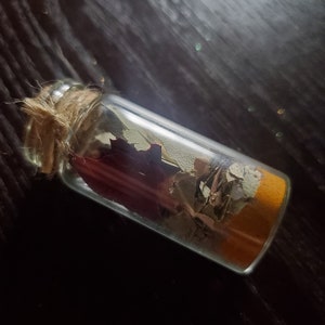 May include: A small, clear glass bottle filled with dried leaves and a layer of orange-colored material. The bottle is sealed with a cork and tied with twine. The background is a dark, textured surface.