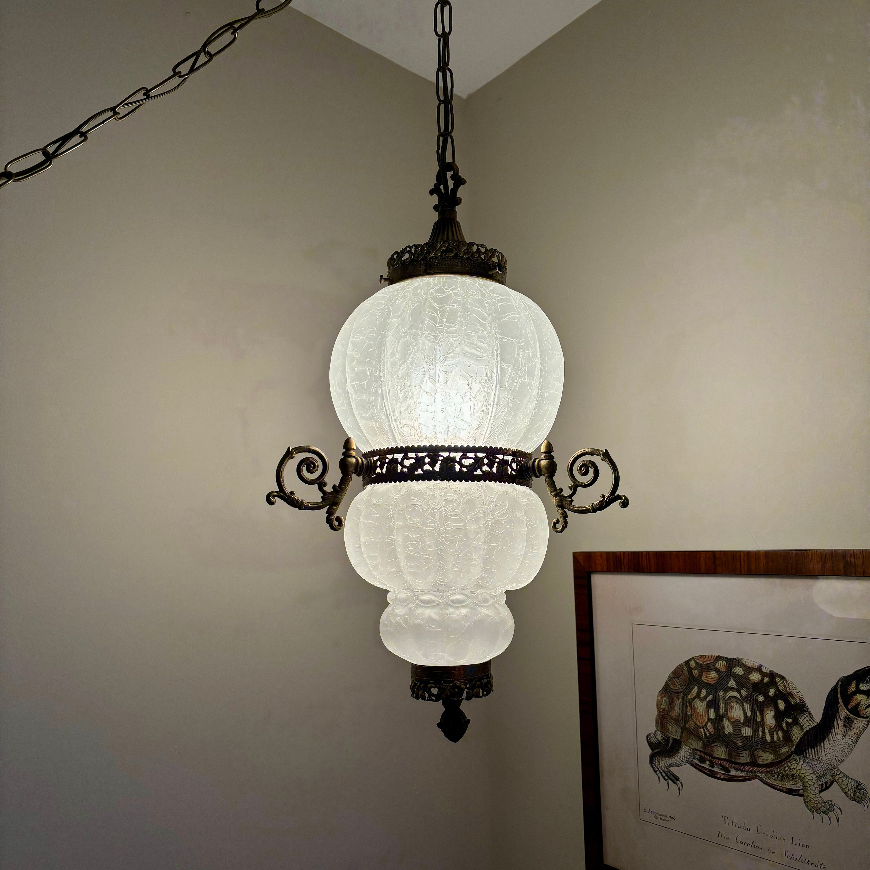 Swag lights for sale deals