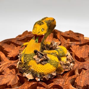 Serpent