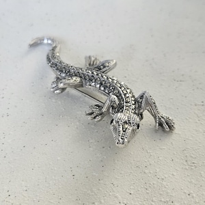 Hagedisbroche