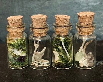 Bones Moss and Crystal jars