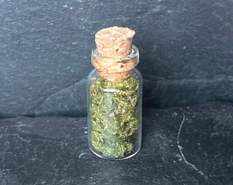 Flowers Moss and Lichen Jars