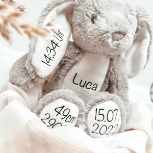 Lapin en peluche personnalisé avec nom et dates de naissance / Lapin de Pâques / Cadeau bébé pour la naissance / Cadeau de Pâques enfants image 2